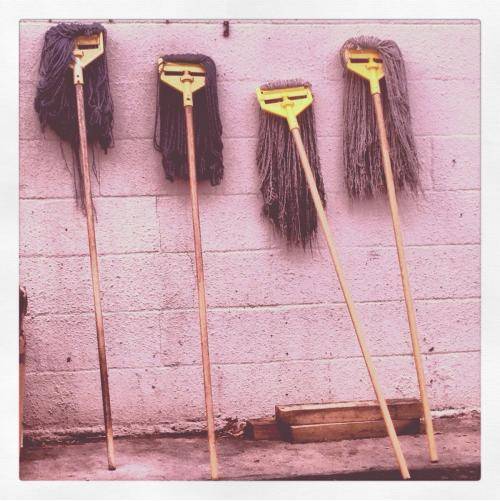 these mops behind a local chinese food place look like a bitchy and aloof girl gang.