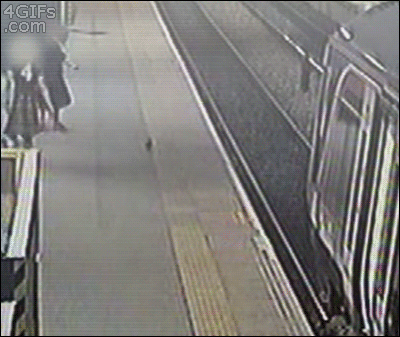 Bird: 1, Man: 0