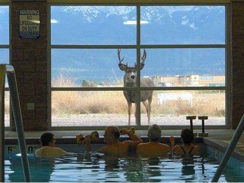 this swimming centers morning treat