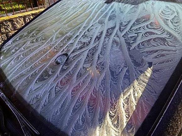My windshield this morning. I love nature.