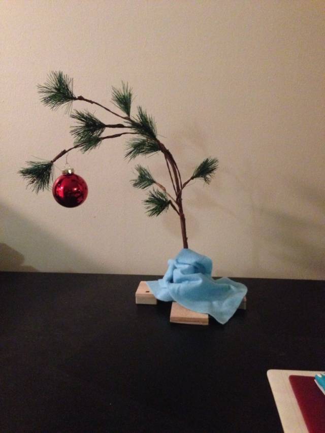 Well, got the tree all set up.