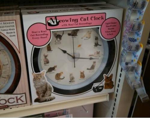 Tell the world you are lonely, one hour at a time