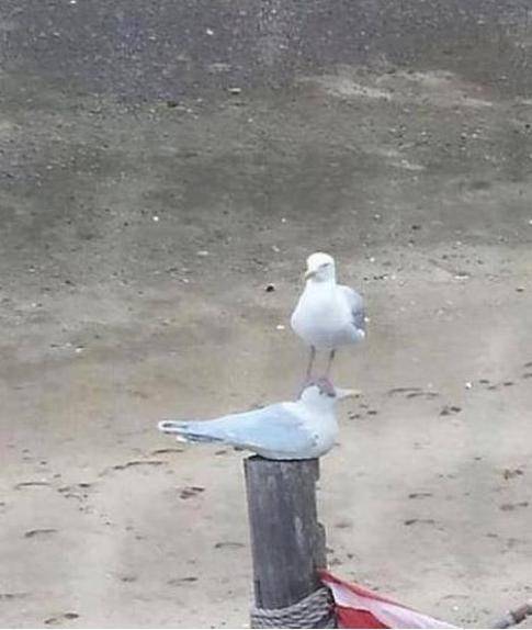 Number of f*cks given < 0