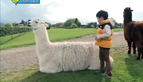 Well, if he’s just sitting there...