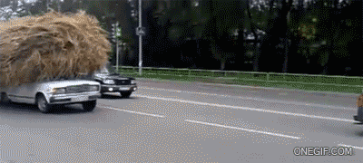 Donald Trump out for a drive....