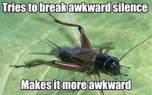 Bad luck cricket
