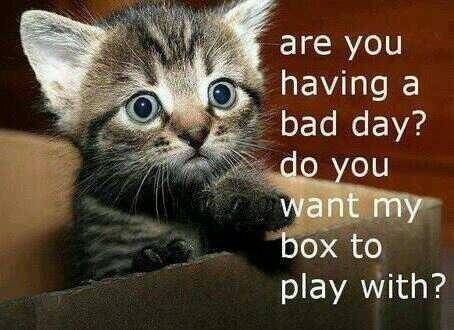 Apparently my G/F and I were not on the same page when she texted me this.