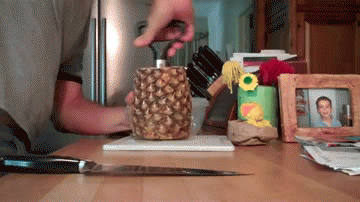 Oddly satisfying gif of the day