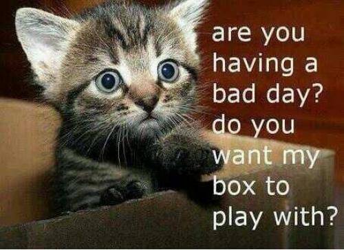 Apparently my G/F and I were not on the same page when she texted me this.