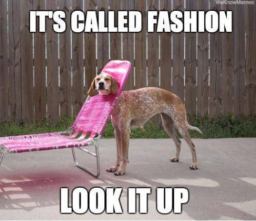 As a model, when my friends call me out on some of the weird sh*t I have to wear.