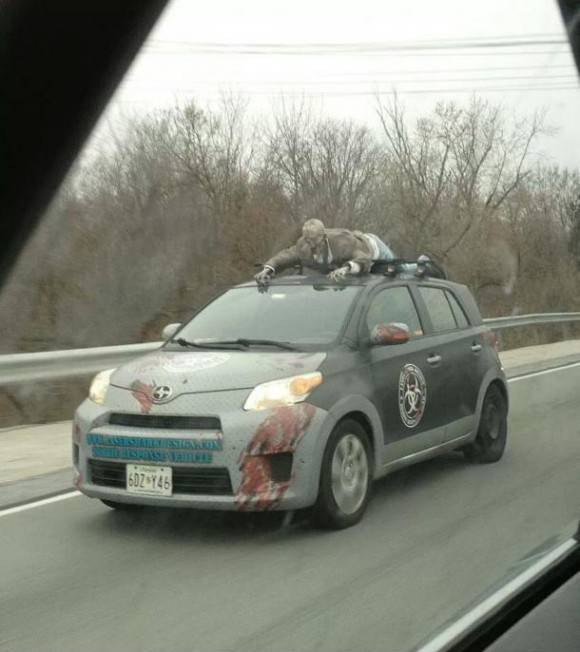 Not gonna lie...this caught me off guard