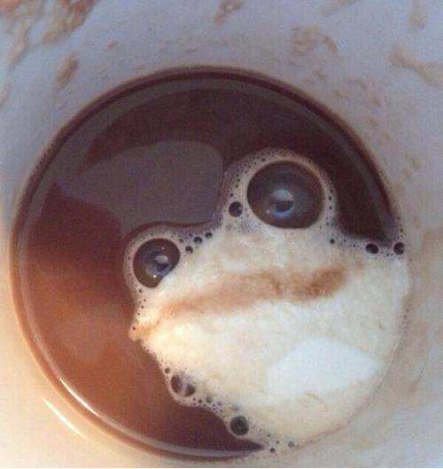 Best accidental cappuccino foam ever.