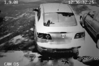 Car thief