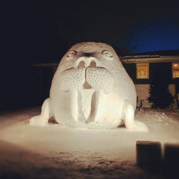 My neighbors can't out do me this time.