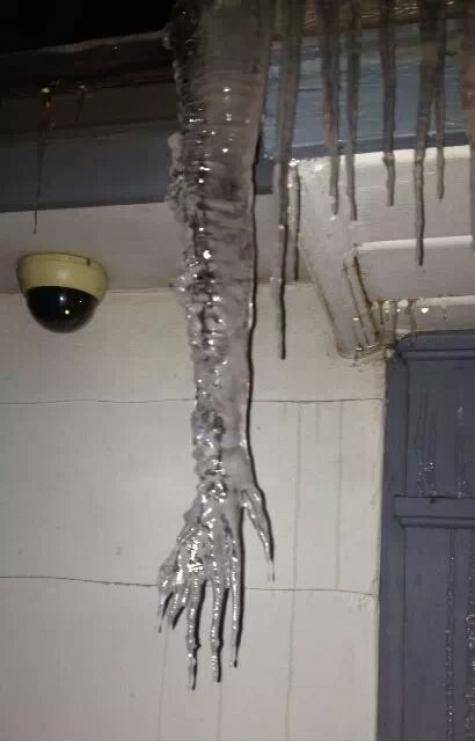 I would be scared walking out my door to see this.