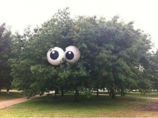 Two beach balls really bring this park to life.