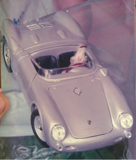 My cousin and I used to catch lizards and get them to pose in model cars for pictures.