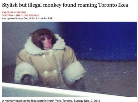 It’s been 1 year since the most influential event of all time
