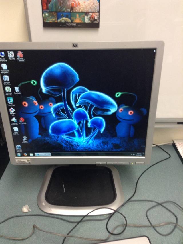 I work at Royal Prince Alfred hospital in Sydney, Australia. This is the desktop of one of the doctor's computers.