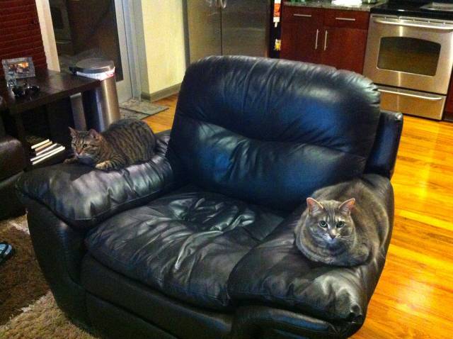 I was sitting in this chair, then I realized that I had become a villain...