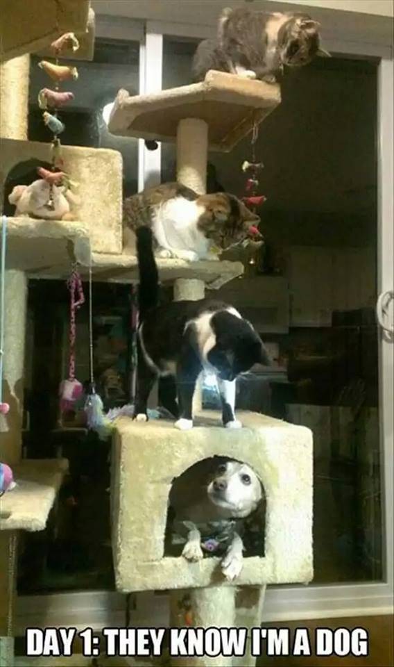 You came to the wrong neighborhood, motherf*cker