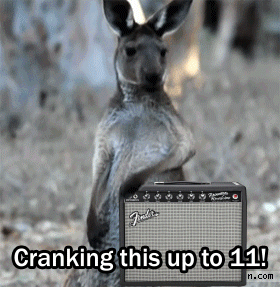Air guitar kangaroo