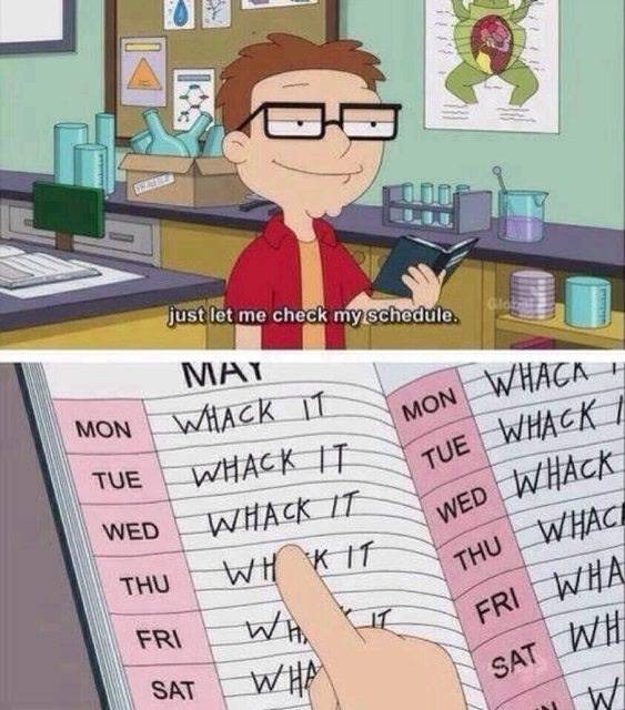Pretty much my holiday plans