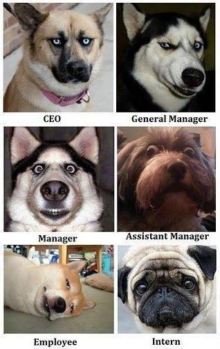 My manager didn't think it was funny. :/