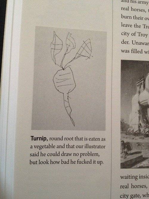 Turnip.