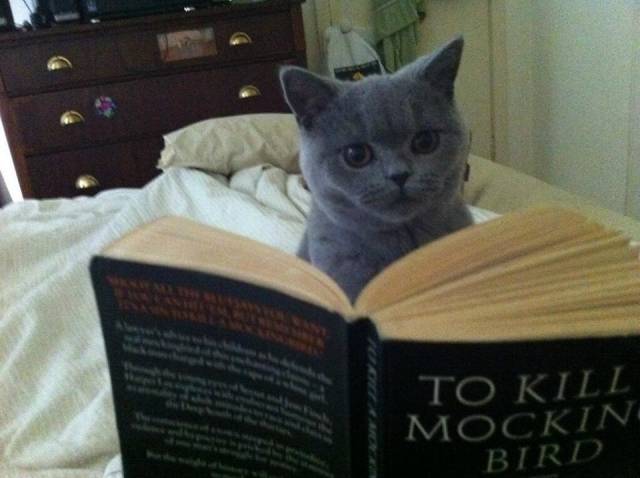 There is absolutely no information in here about any such thing.
