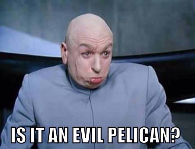 My first thought when I heard the New Orleans Hornets changed their mascot to the pelicans.