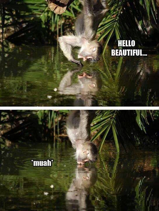 Hello yourself
