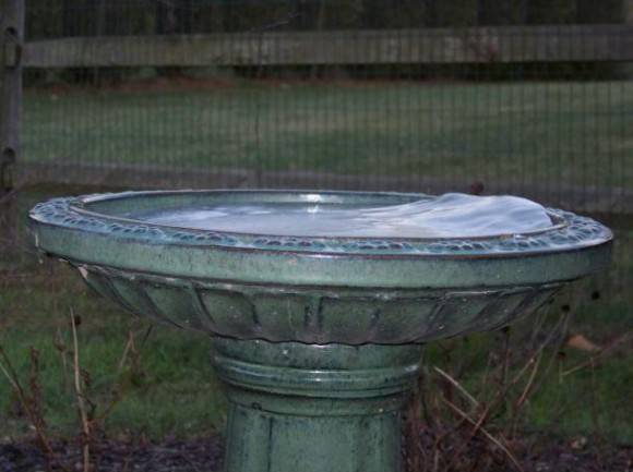 So windy the birdbath froze in a wave...