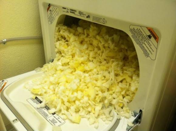My GF thought it was a good idea to put the dog bed in the dryer...
