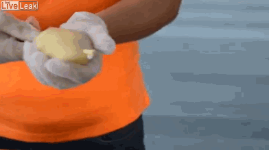 Fried potato on a stick