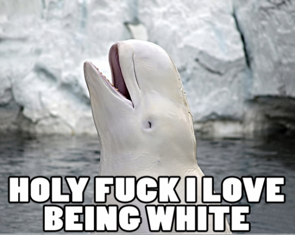 HIFW -removed How it feels to be a white man walking through airport security