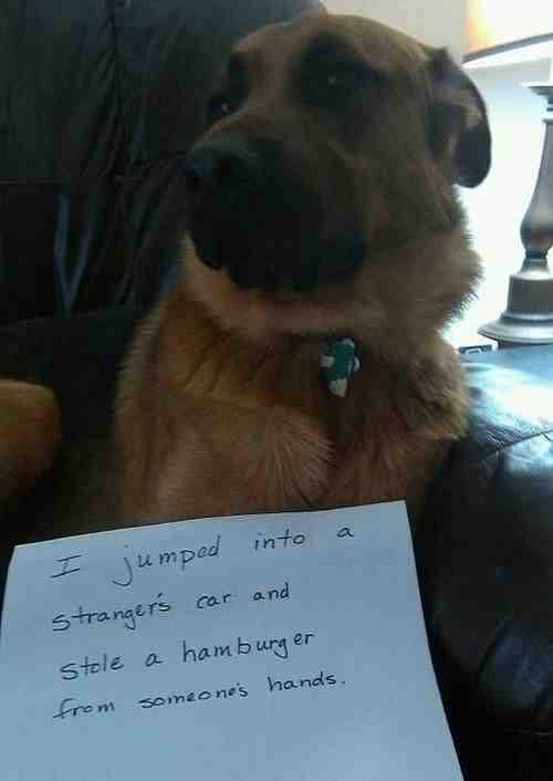 You should be ashamed.
