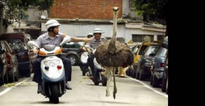 Funny and wtf everyday police moments
