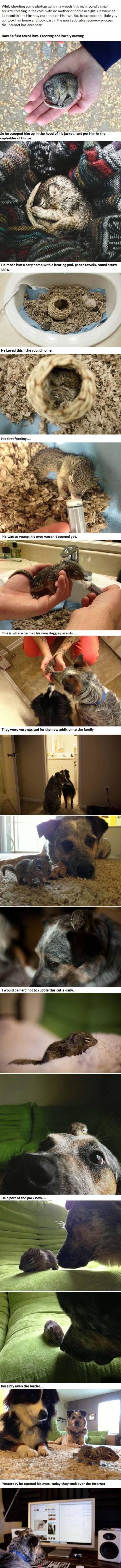 I'll just say the the end is the best thing I've seen in a while.