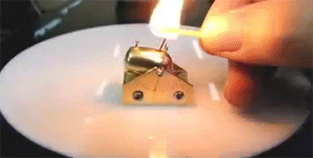 Cute cannon