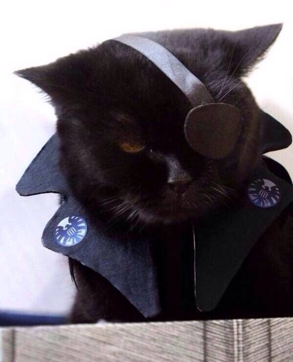 Nick Furry