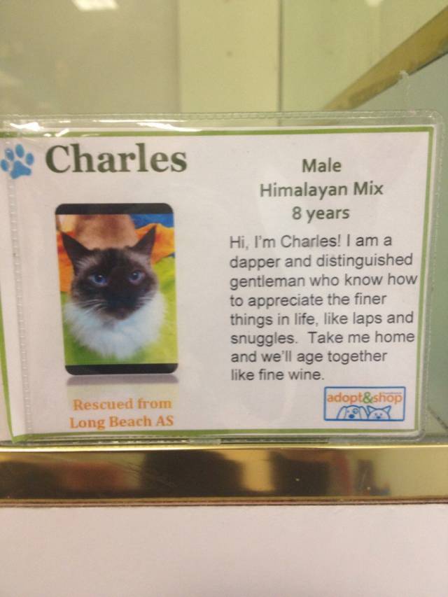 That's it. I'm sold!
