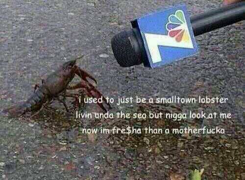 interviewing the lobster