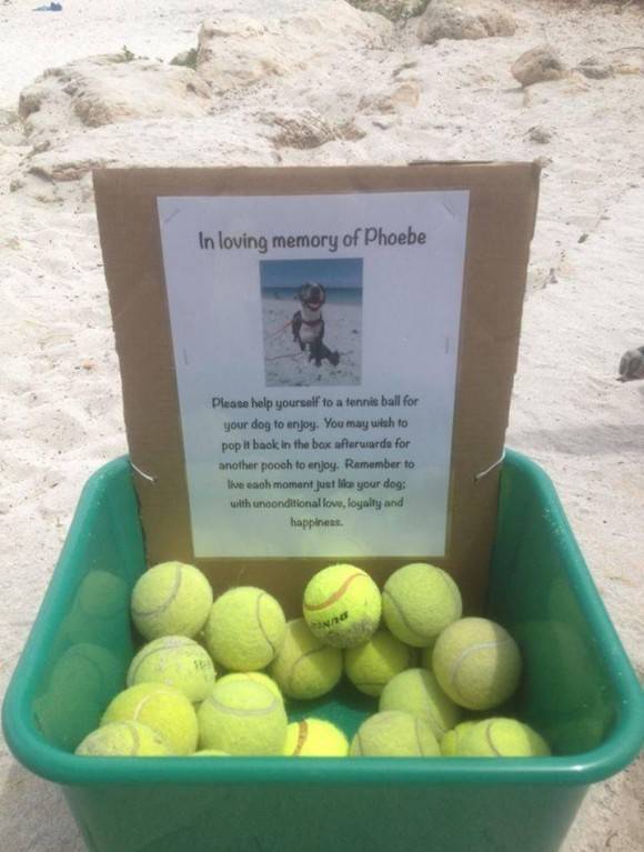 I found this at my local dog beach today