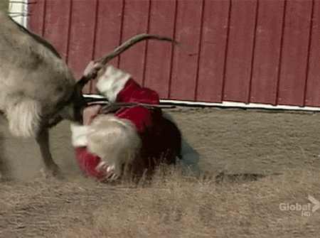 GODDAMMIT RUDOLPH! WON’T YOU GUIDE MY SLEIGH??
