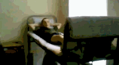 Instant karma of the day