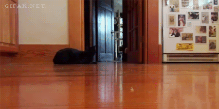 Laser powered cat-shaped spinning top