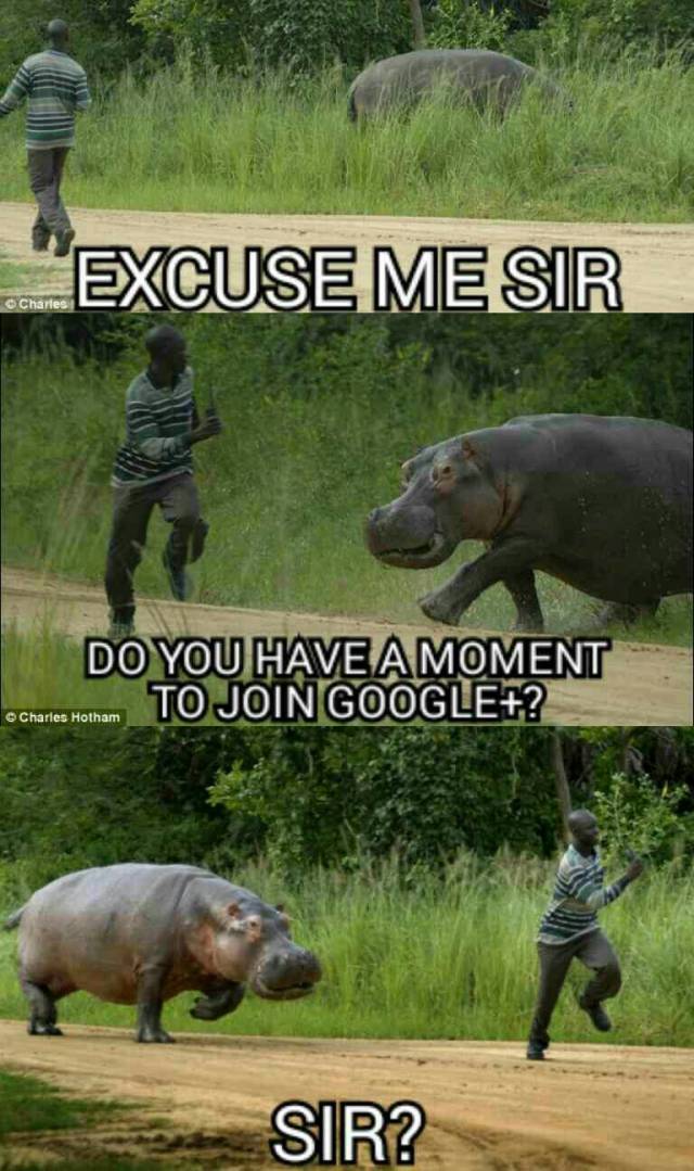 Excuse me sir...