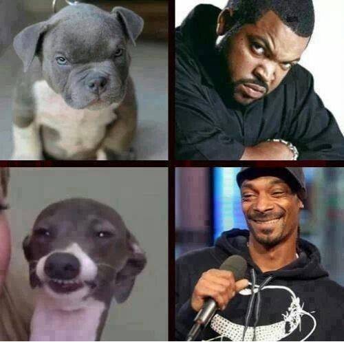 Whenever I’m sad I look at this