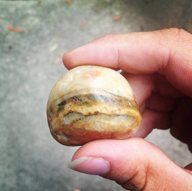 I found this rock while camping, and for some reason I want to eat it.